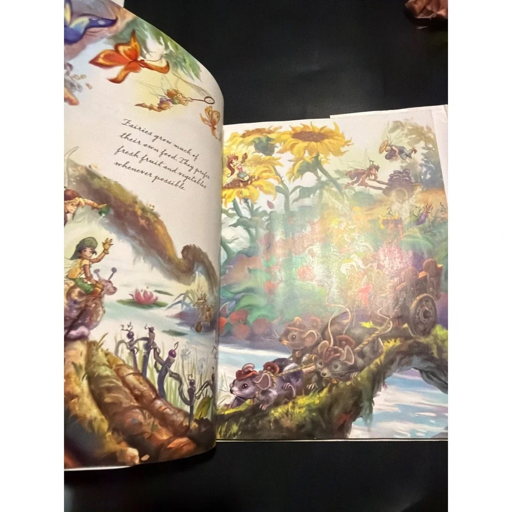 Disney In the Realm of the Never Fairies Pixie Hollow 1st Ed Tinker Bell HC DJ
